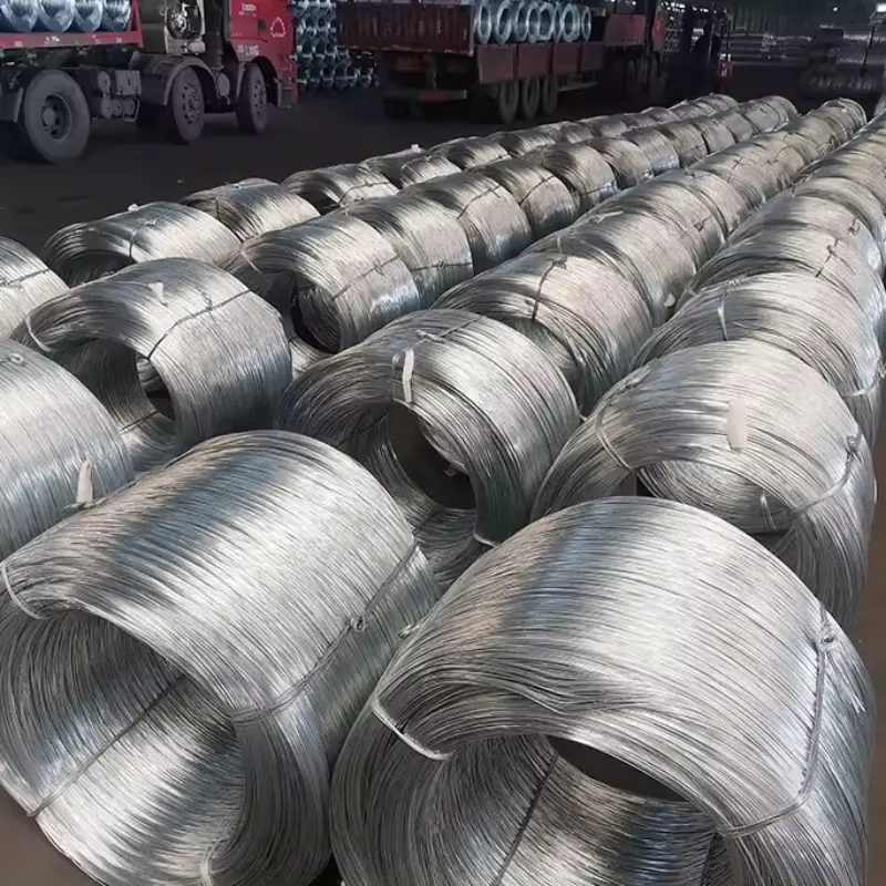 Stainless Steel Coils
